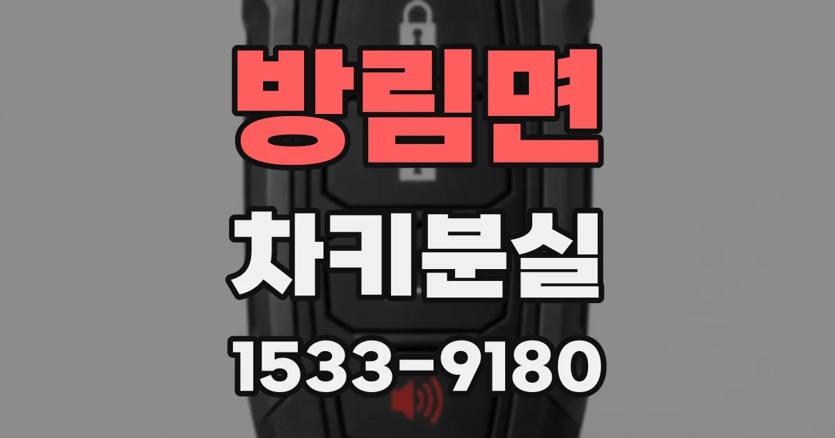 방림면 차키분실