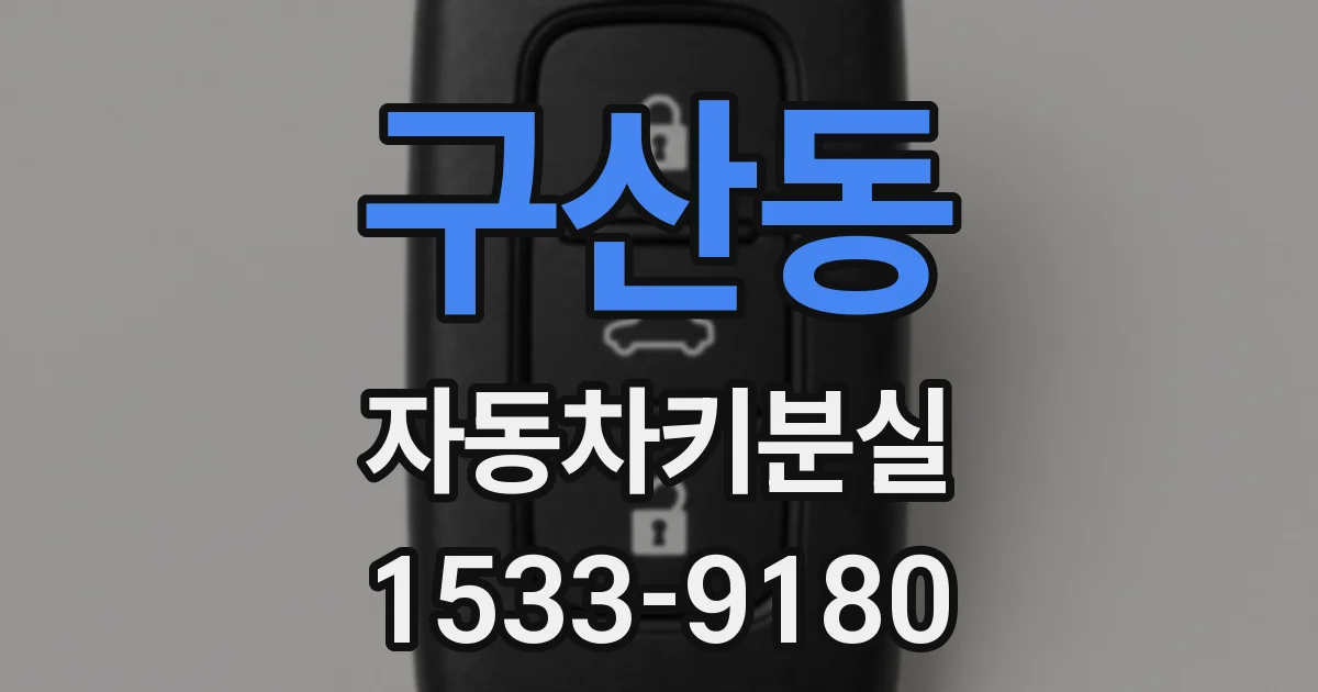구산동 자동차키분실