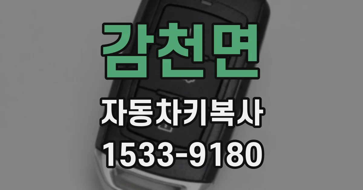 감천면 자동차키복사