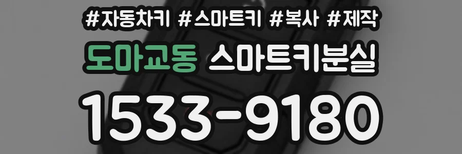 도마교동 스마트키분실