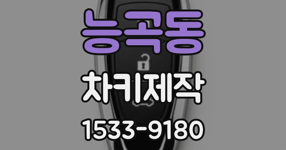 능곡동 차키제작