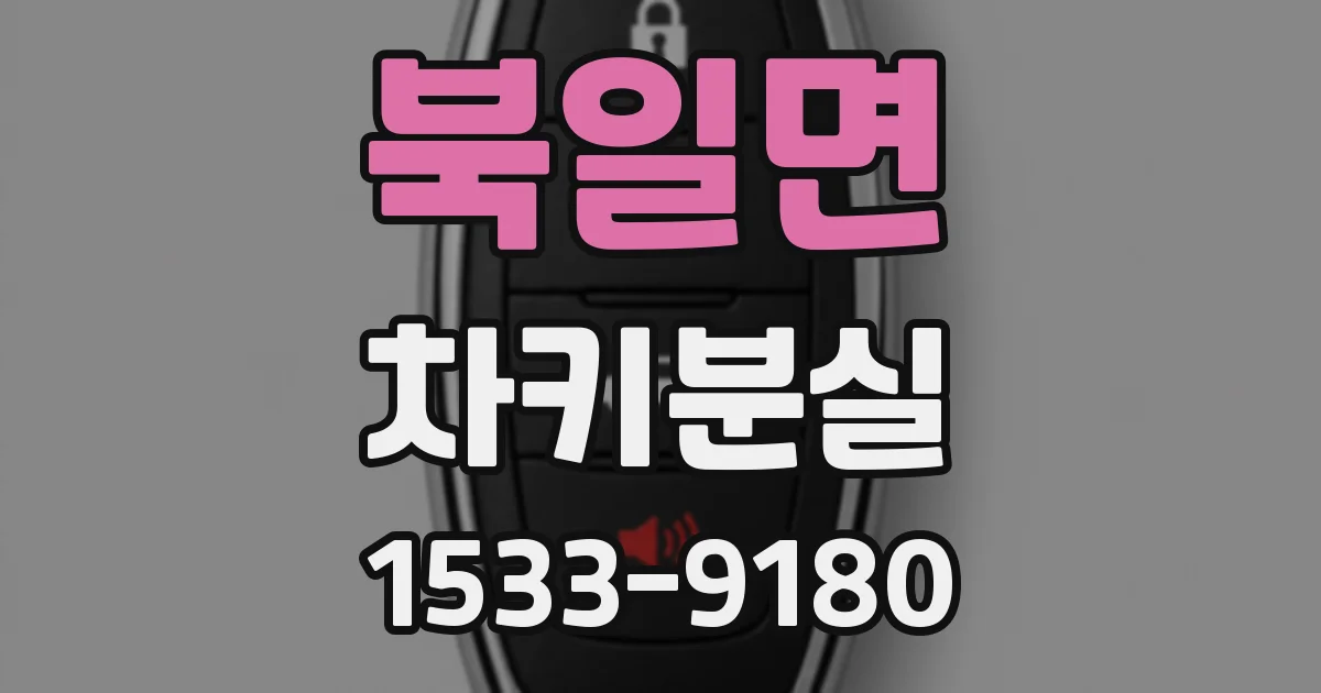 북일면 차키분실