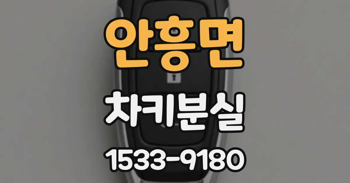 안흥면 차키분실