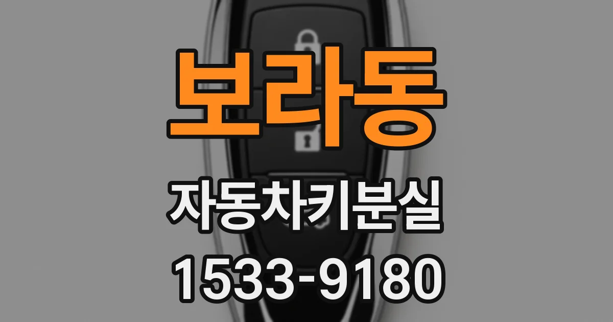 보라동 자동차키분실