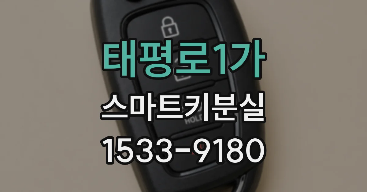 태평로1가 스마트키분실