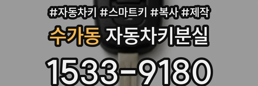 수가동 자동차키분실