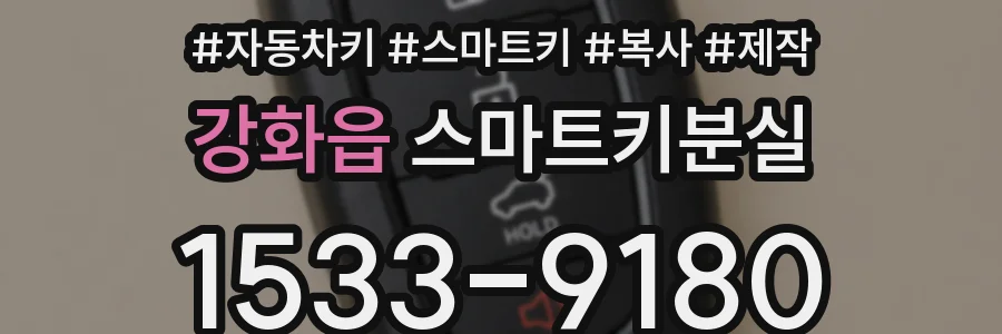 강화읍 스마트키분실