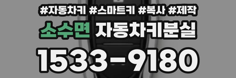 소수면 자동차키분실