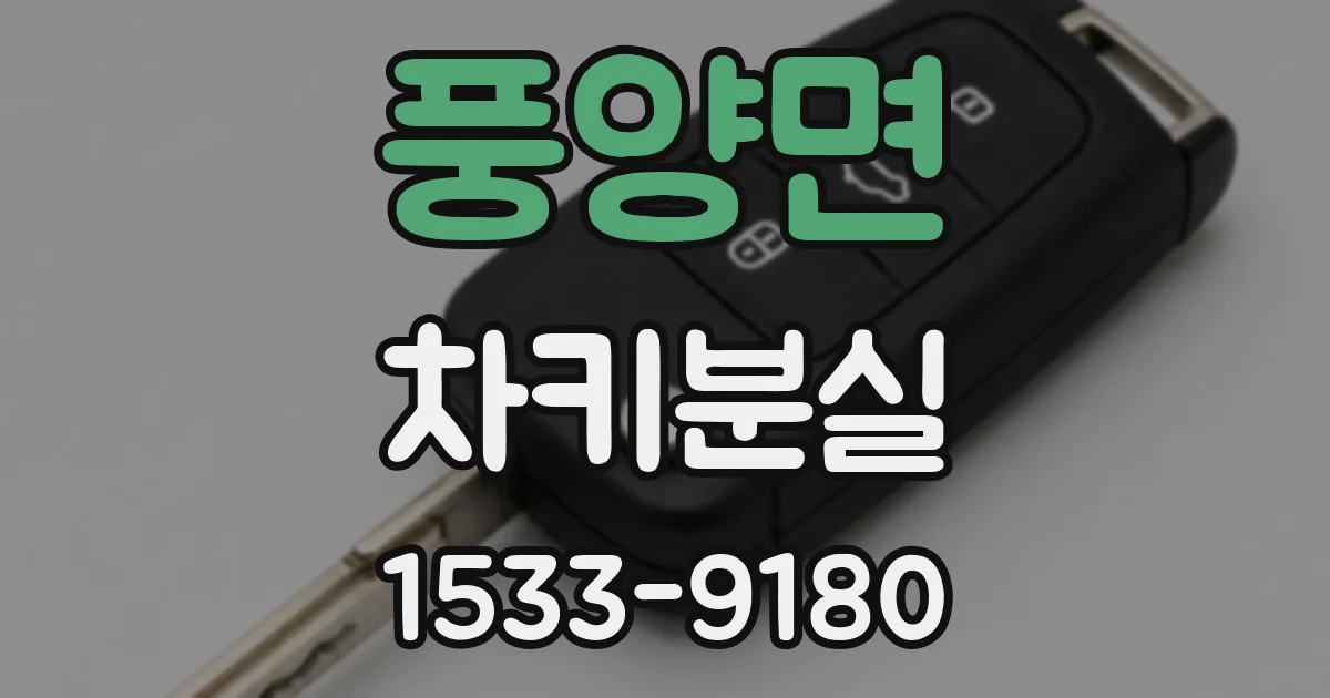 풍양면 차키분실