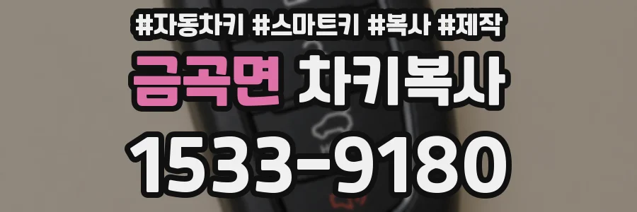 금곡면 차키복사