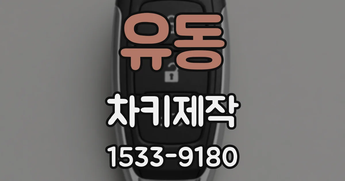 유동 차키제작