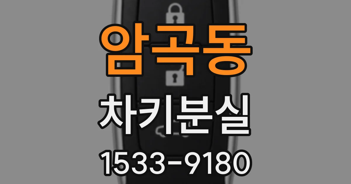 암곡동 차키분실