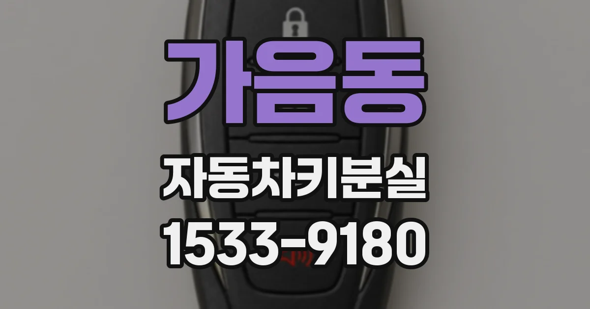 가음동 자동차키분실