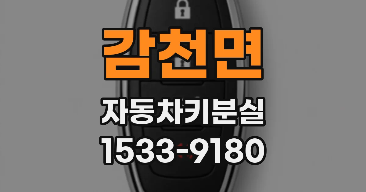 감천면 자동차키분실