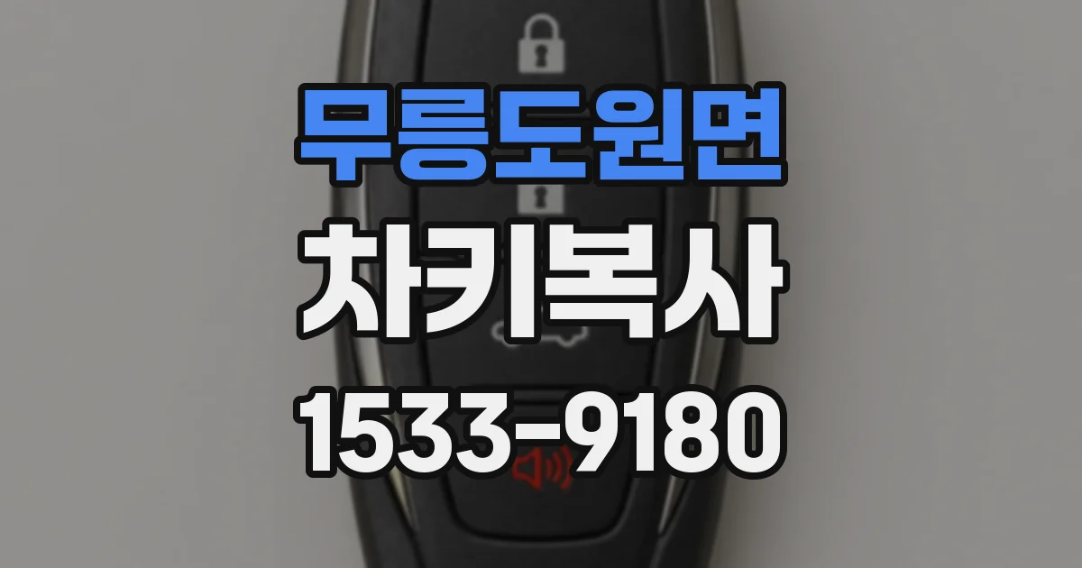 무릉도원면 차키복사