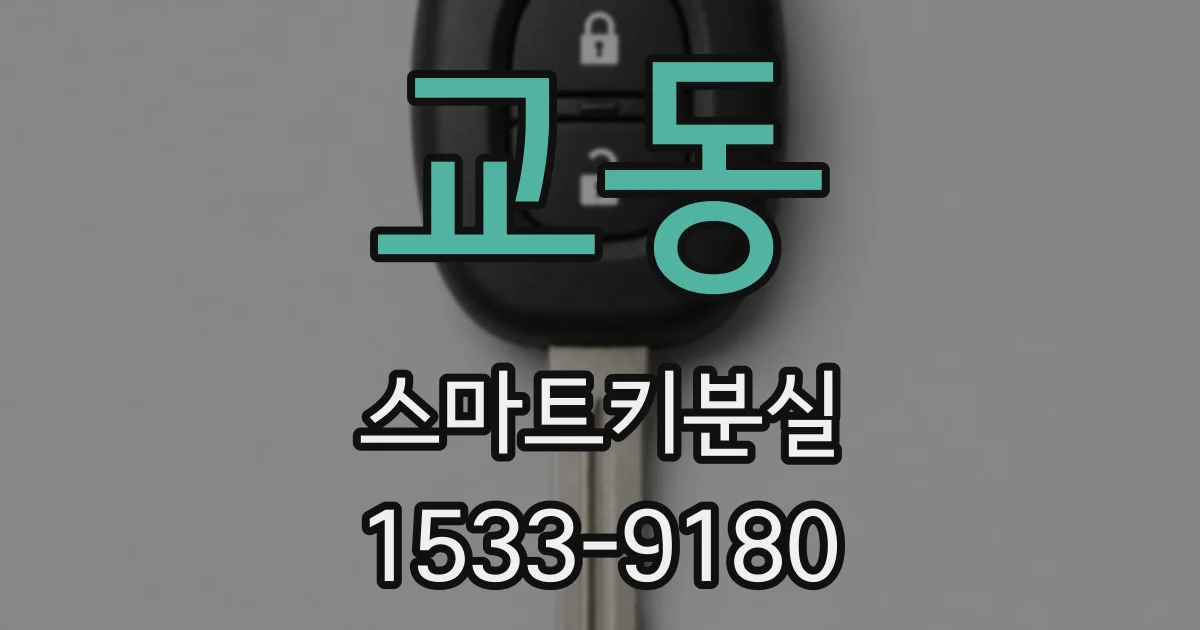 교동 스마트키분실