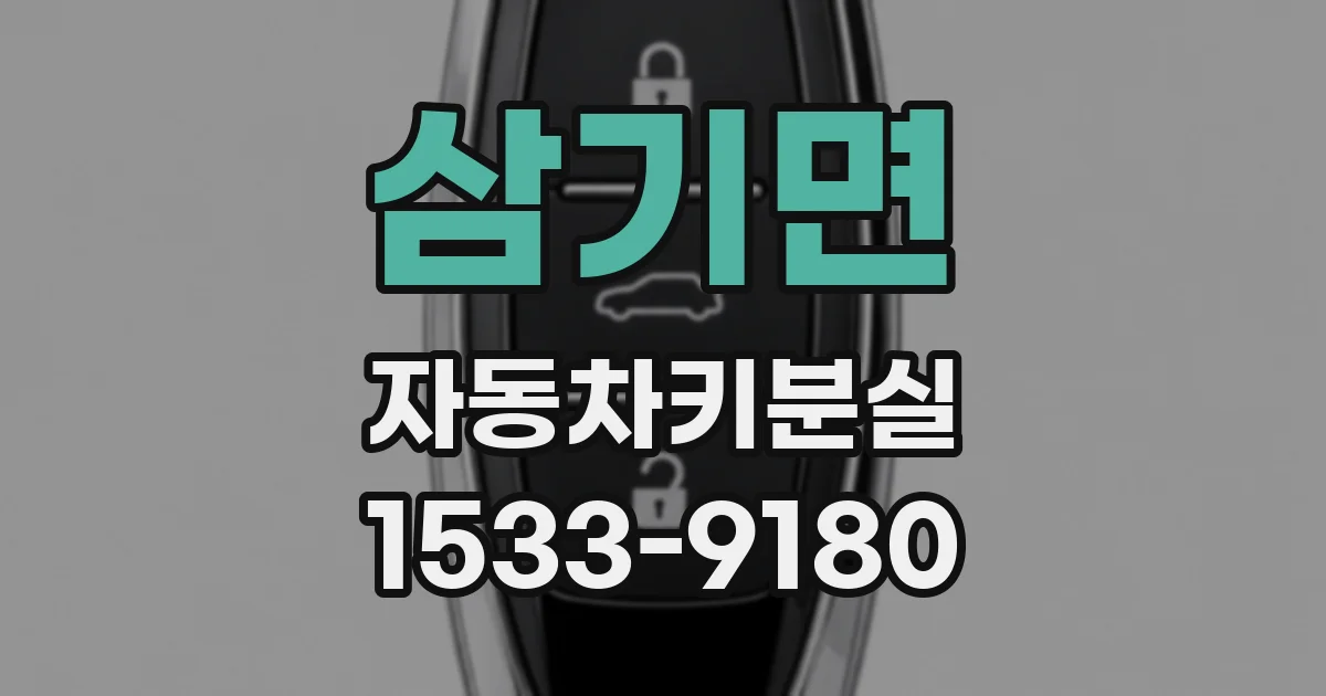 삼기면 자동차키분실