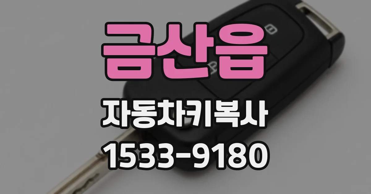 금산읍 자동차키복사