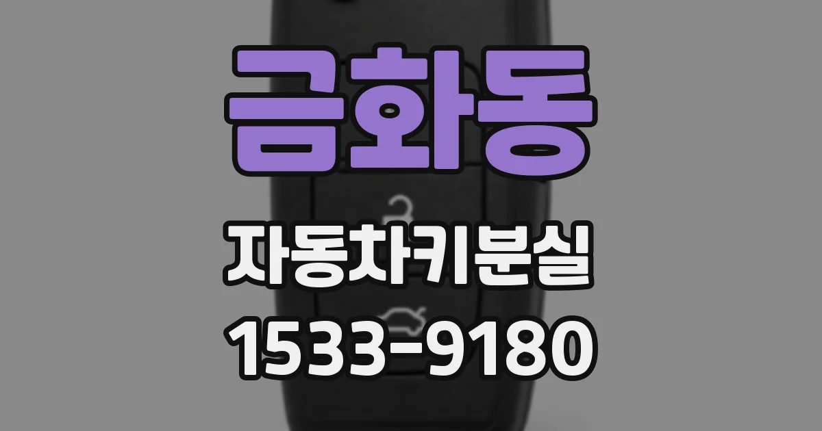 금화동 자동차키분실