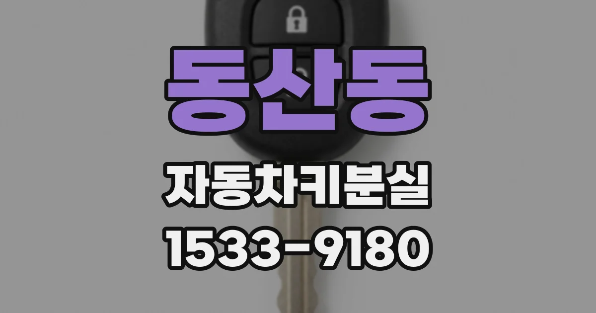 동산동 자동차키분실