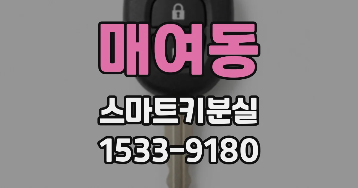 매여동 스마트키분실