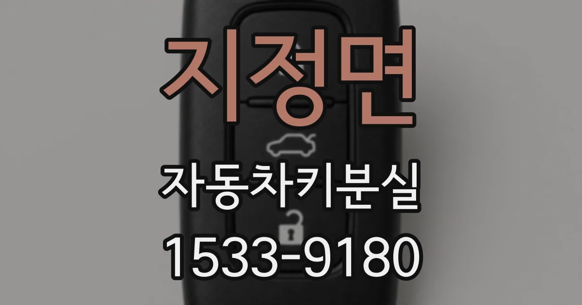 지정면 자동차키분실