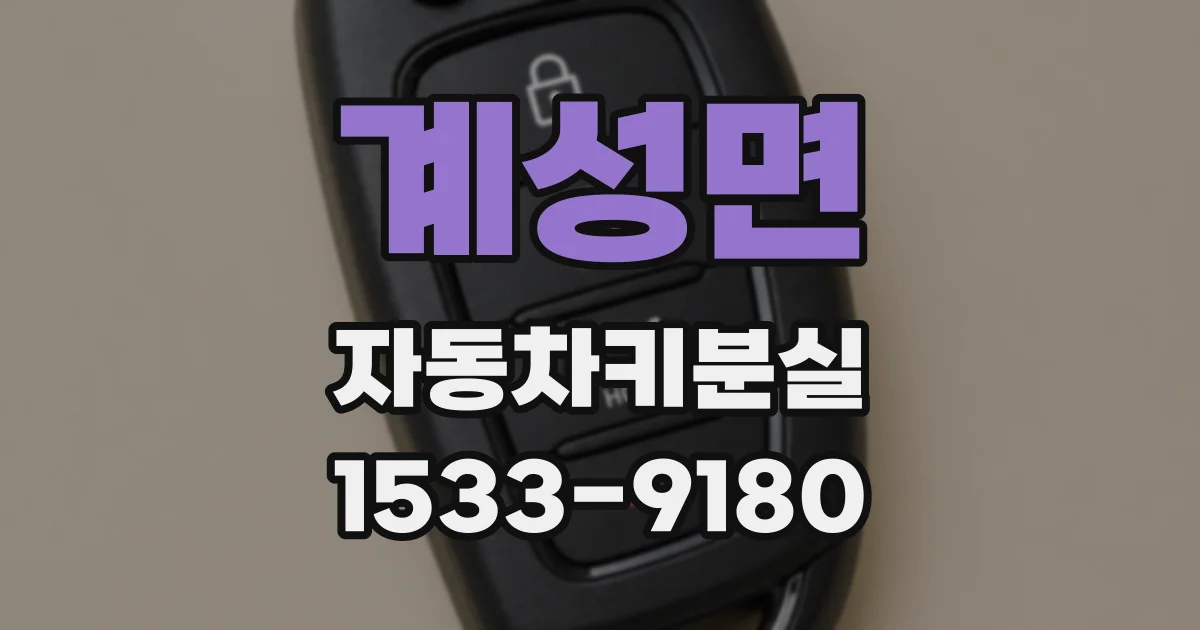 계성면 자동차키분실