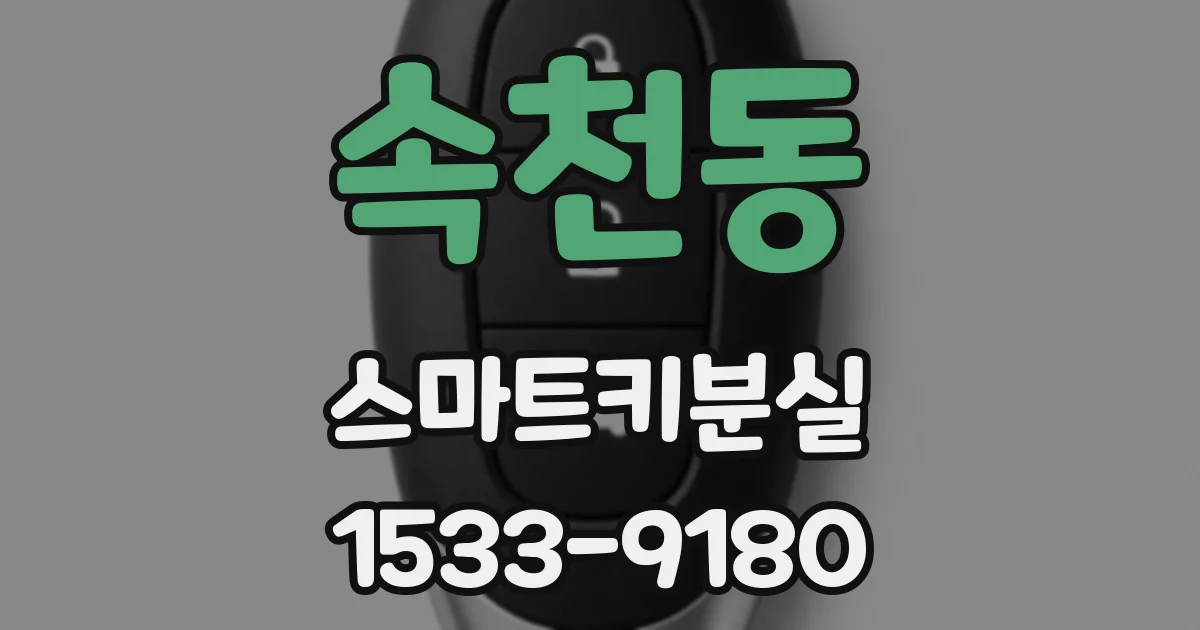 속천동 스마트키분실