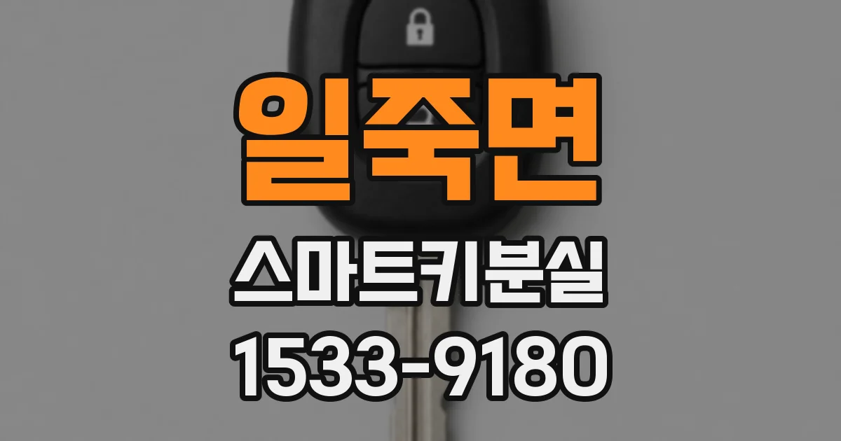 일죽면 스마트키분실