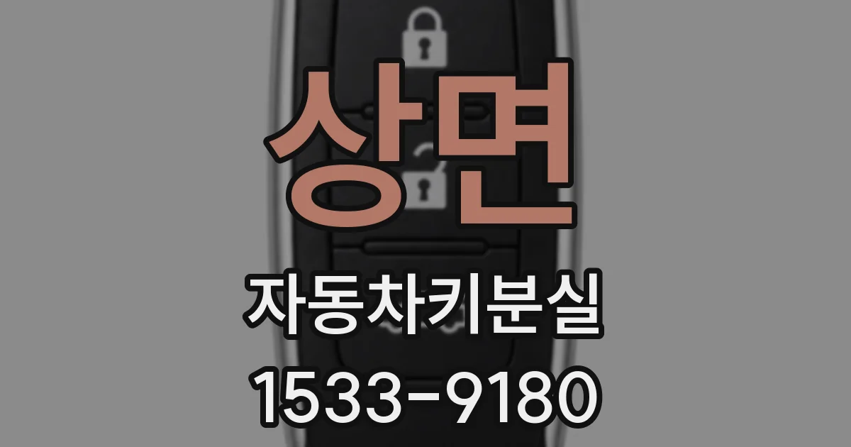 상면 자동차키분실