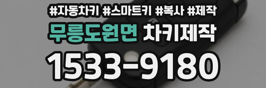 무릉도원면 차키제작