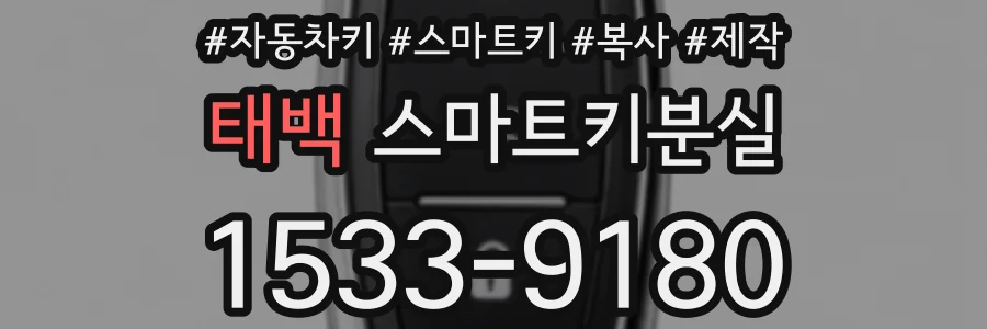 태백 스마트키분실