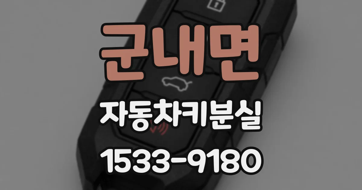 군내면 자동차키분실