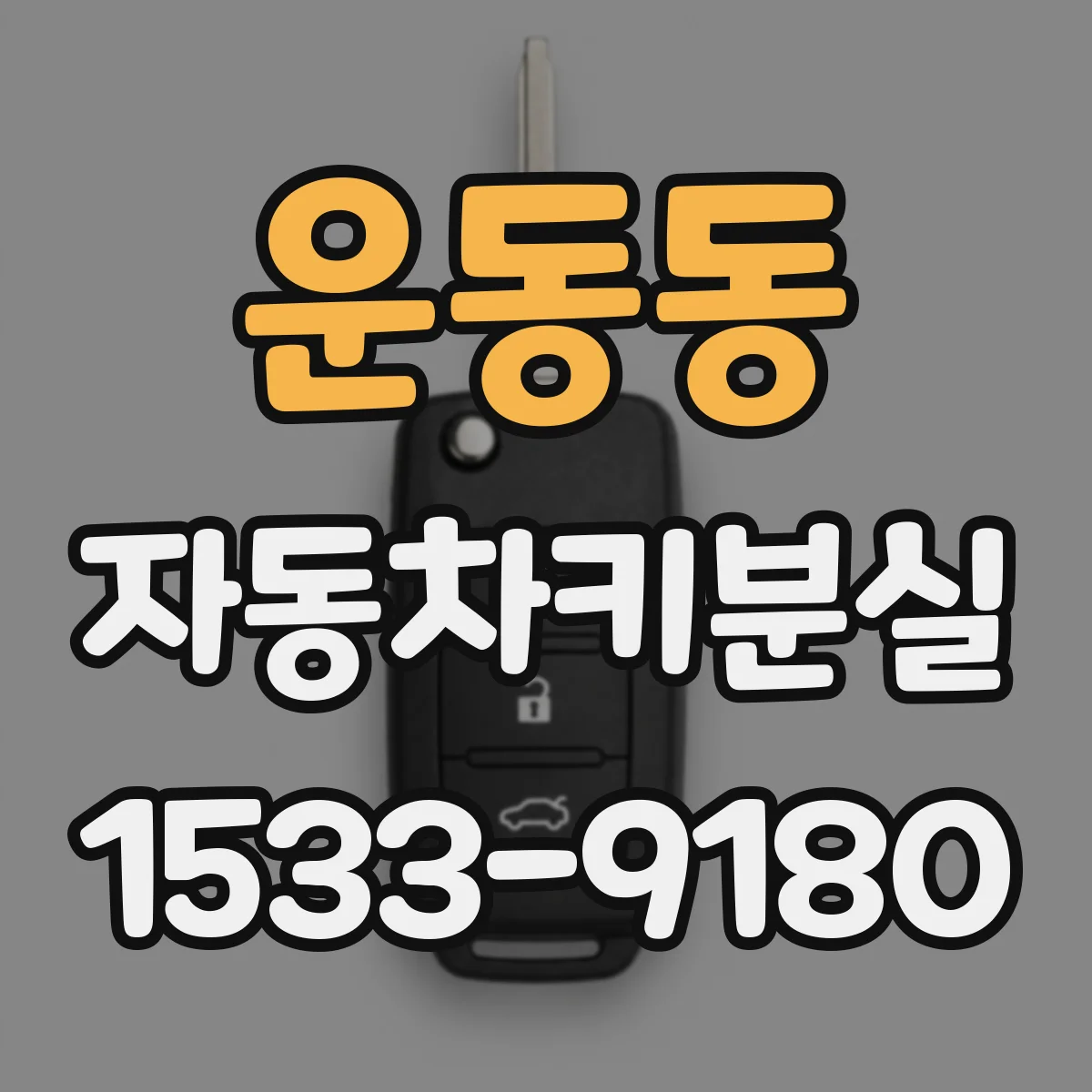 운동동 자동차키분실