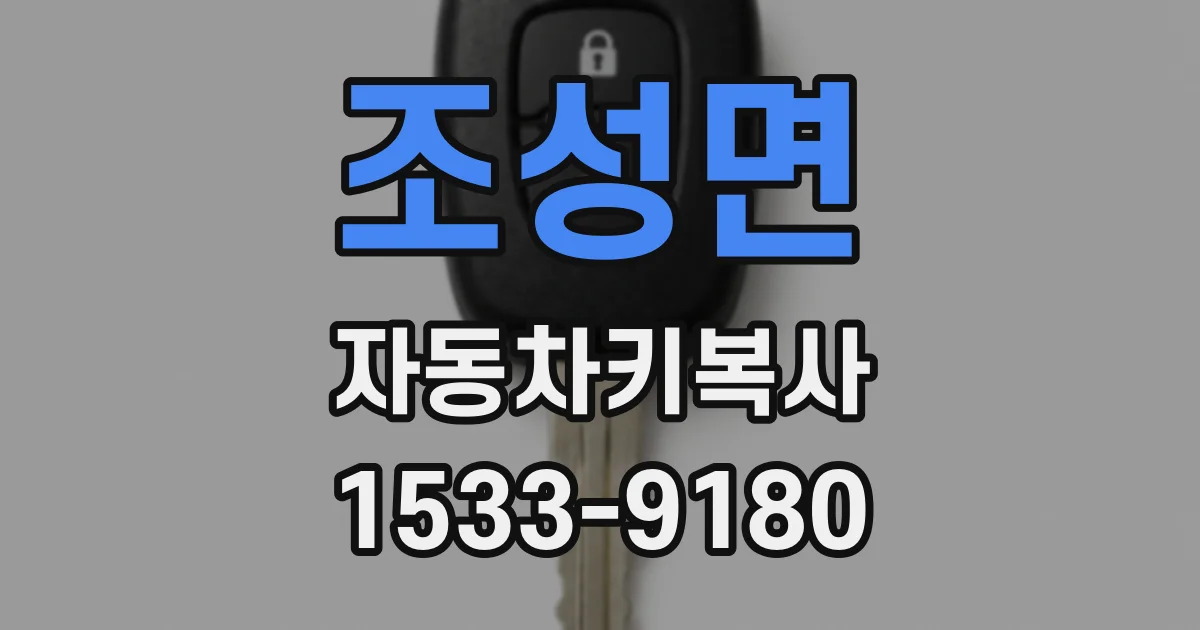 조성면 자동차키복사