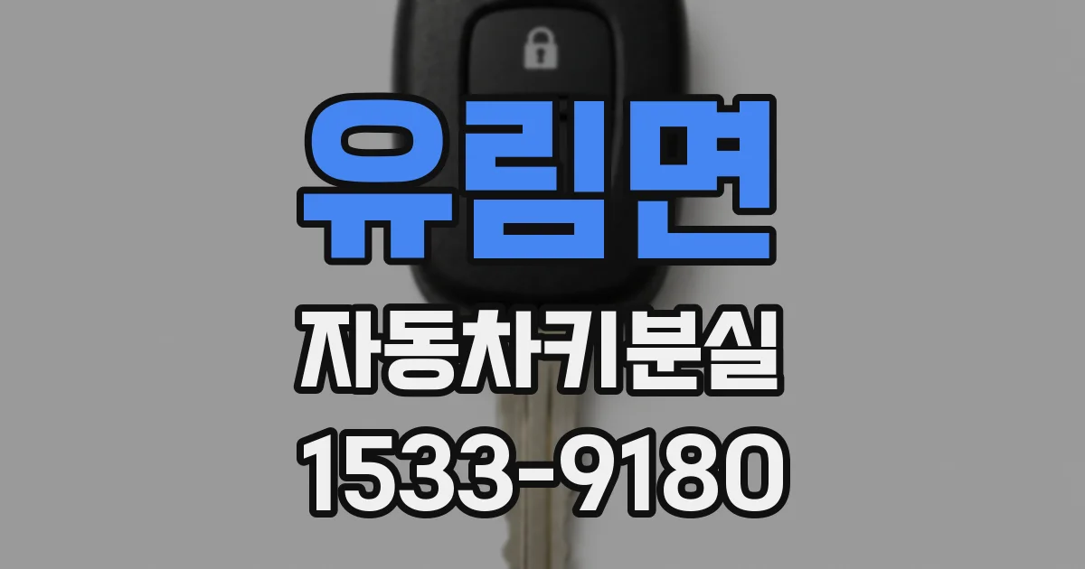 유림면 자동차키분실