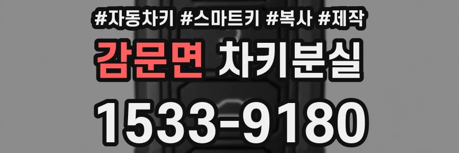 감문면 차키분실