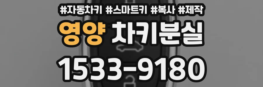 영양 차키분실