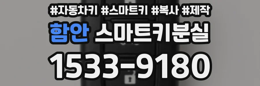 함안 스마트키분실