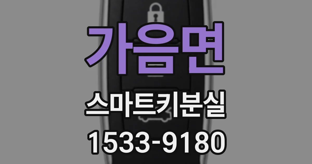 가음면 스마트키분실