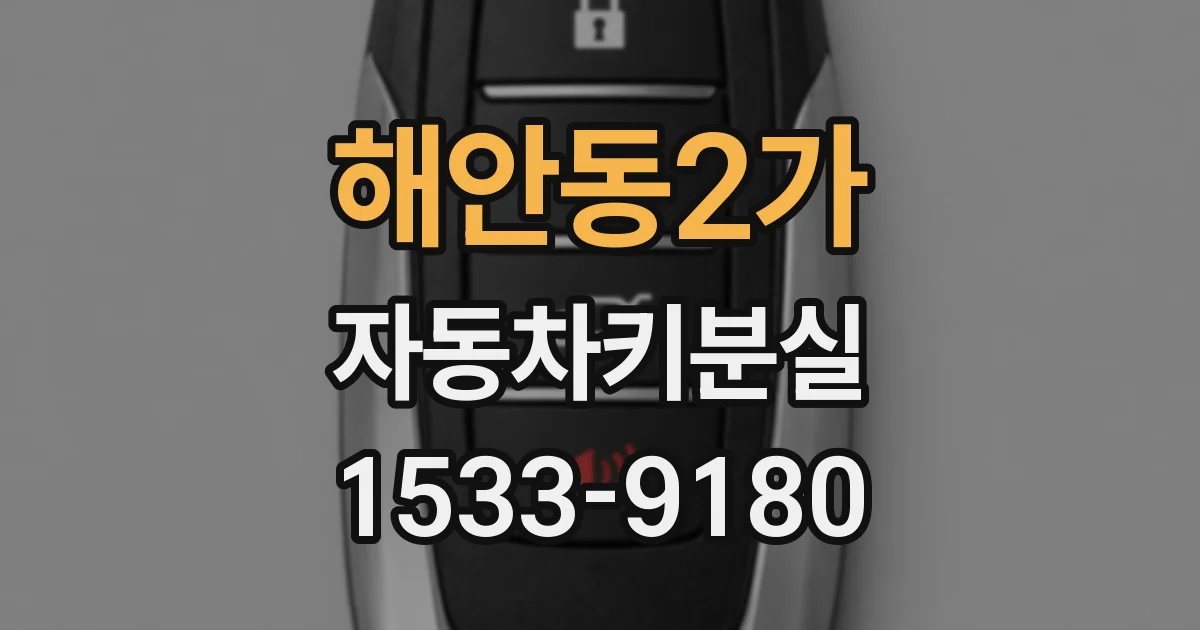 해안동2가 자동차키분실