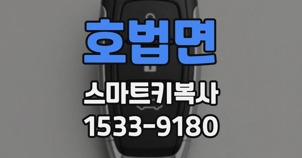 호법면 스마트키복사