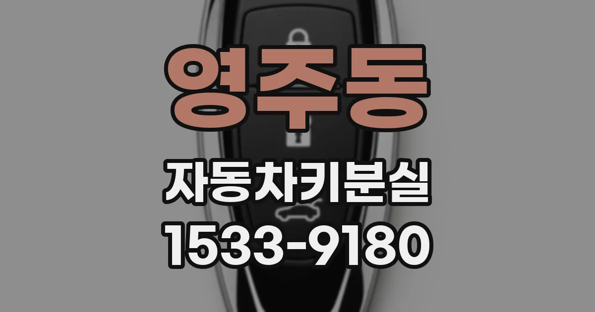 영주동 자동차키분실