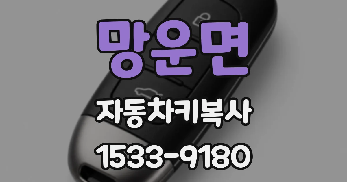 망운면 자동차키복사