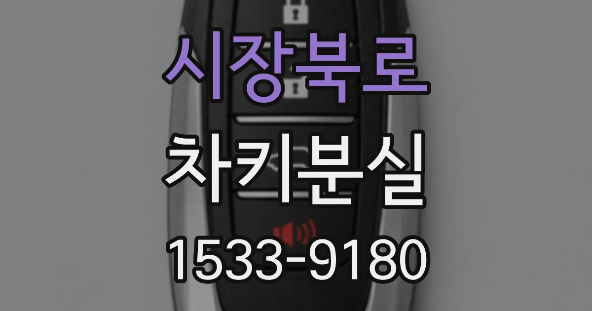 시장북로 차키분실