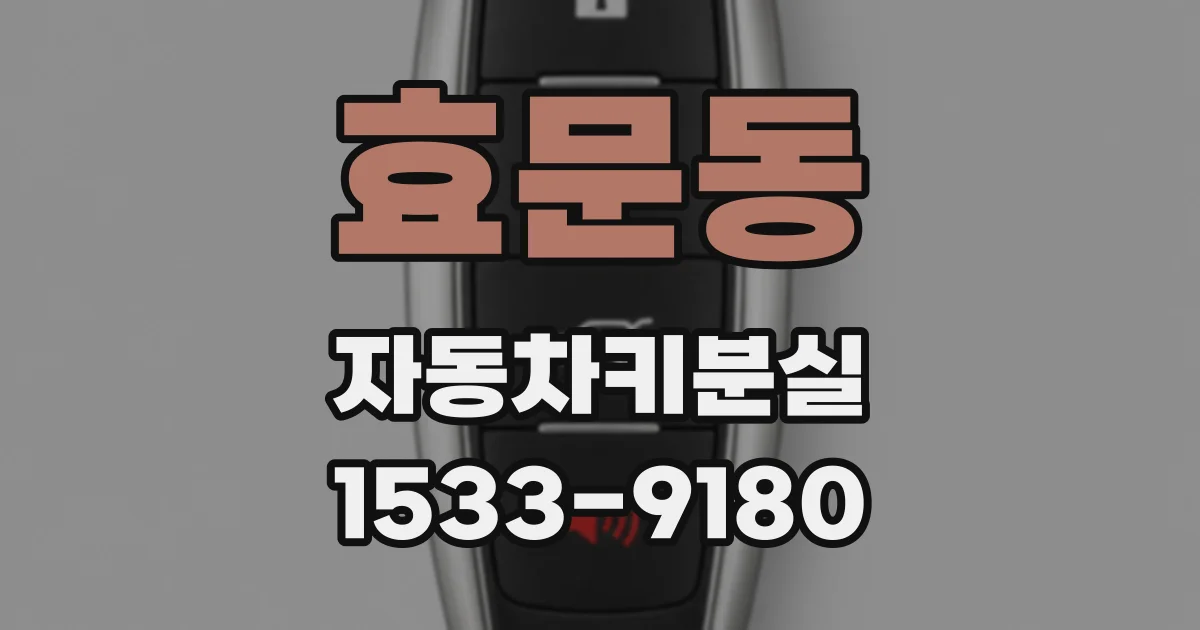효문동 자동차키분실