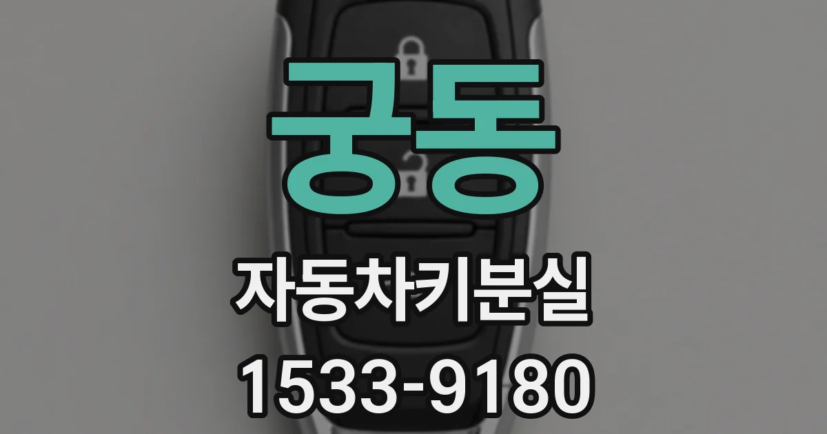 궁동 자동차키분실