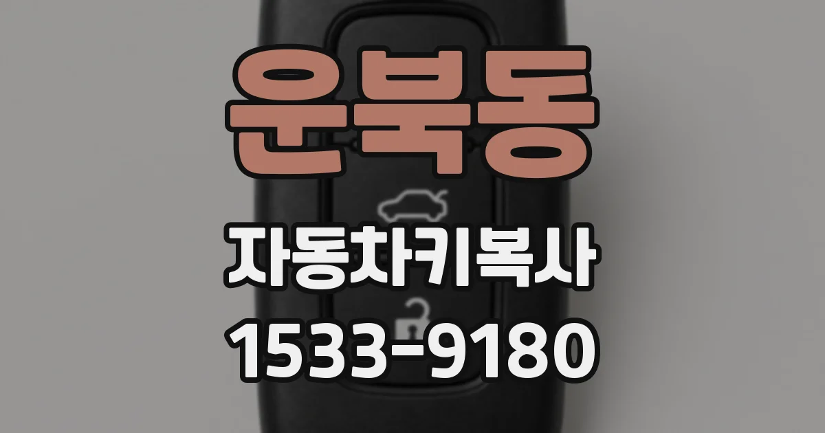 운북동 자동차키복사