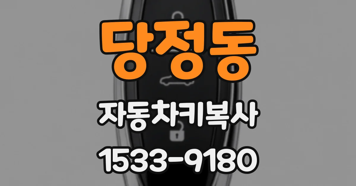 당정동 자동차키복사