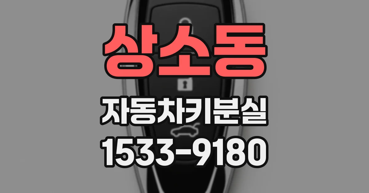 상소동 자동차키분실